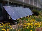 solar panels