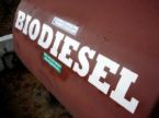 biodiesel biodiesel