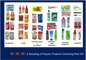 palm oil products