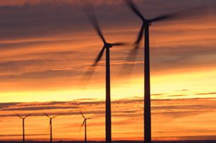 renewable energy policy uk