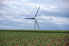 4815592664 9d3a92d3da m