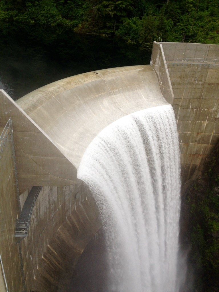 Hydroelectric Expansion Project