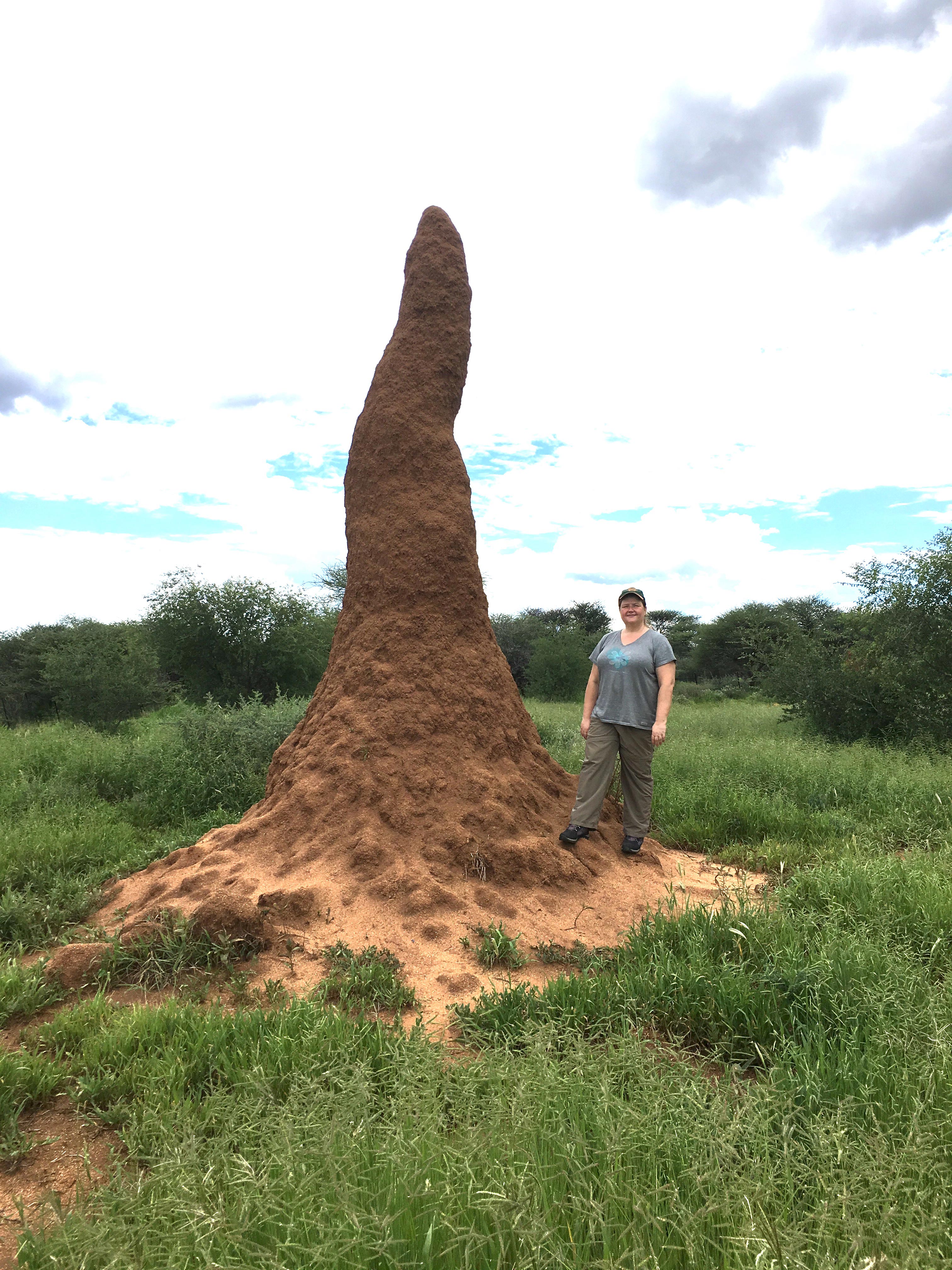 Andrea Surovek at Termite Mound