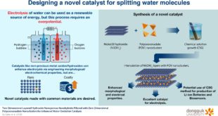DONGGUK 3 Infographic Renewable energy from Electrolysis