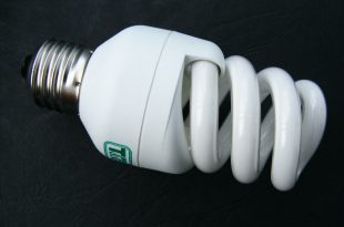 bulb 87565 1280
