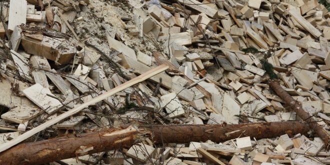 wood biomass