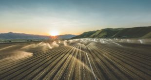 spray in field photo