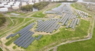 Linden Navisun photo August 2021 8.16.21