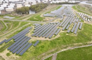 Linden Navisun photo August 2021 8.16.21