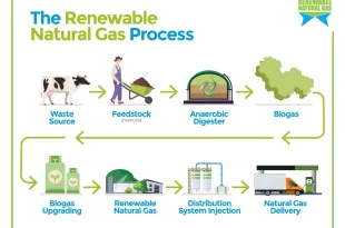 1287426 SocialInfographic RNGSystem 1200x900 013122