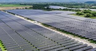 solar farm